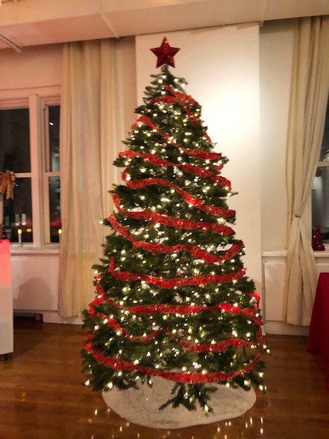 Christmas Tree decorated with red ribbon and lights