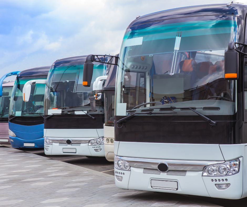 Fleet of busses